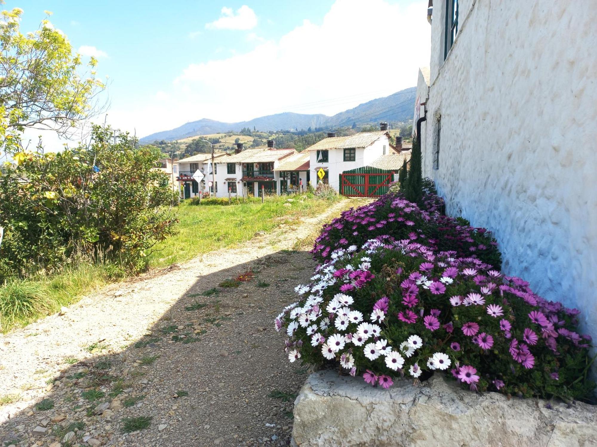 מונגי Hospedaje Y Camping Del Rio מראה חיצוני תמונה